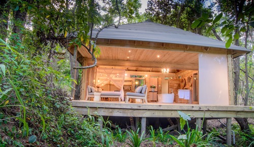 Luxury Forest Suite 