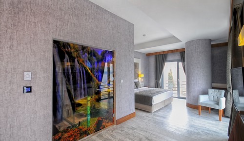 Executive Suite, 1 Bedroom