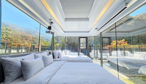 Family Twin Room, Mountain View