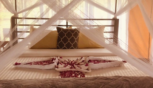 Family Tent