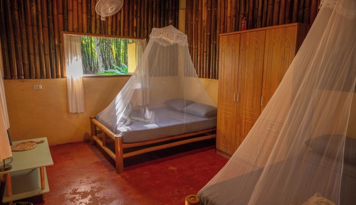 Family Double or Twin Room