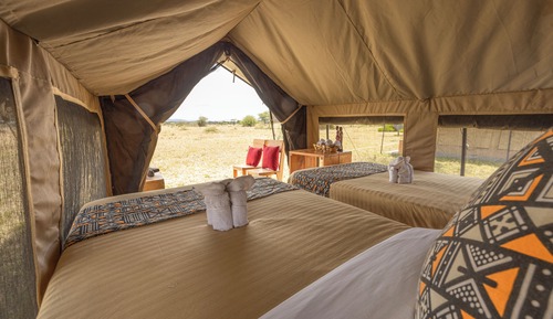 Basic Tent, Patio, Garden View