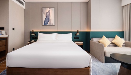Room, 1 King Bed