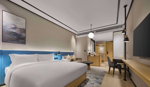 Room, 1 King Bed, Accessible