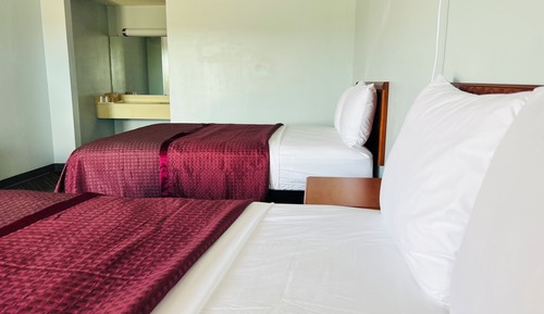 Family Single Room
