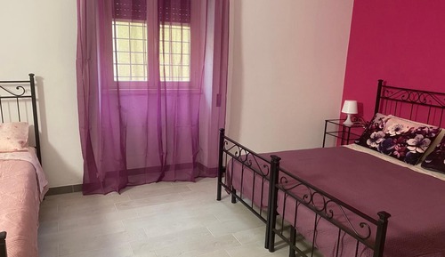 Basic Double Room