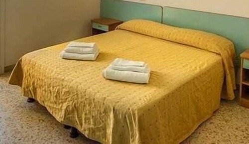 Basic Double or Twin Room