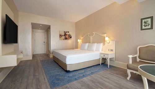 Standard Room, 1 King Bed with Sofa bed, Accessible, Garden View