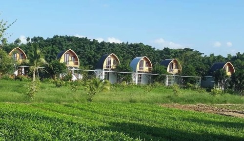 Basic Bungalow, Garden View