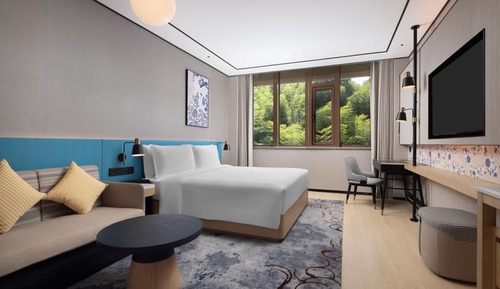 Room, 1 King Bed, Accessible