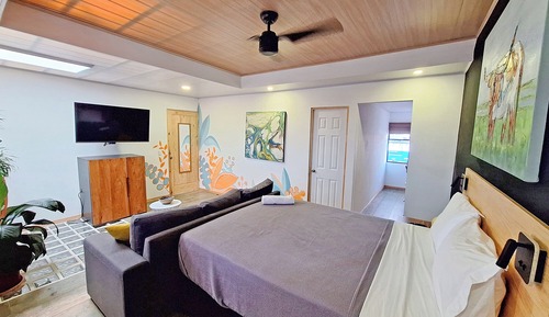 Deluxe Studio, Park View