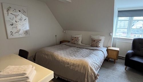 Basic Double or Twin Room