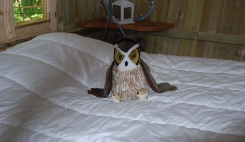 Tree House, Garden View