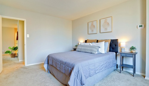 Comfort Apartment, 2 Bedrooms
