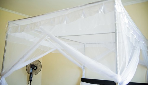 Junior Single Room, 1 Queen Bed, Garden View