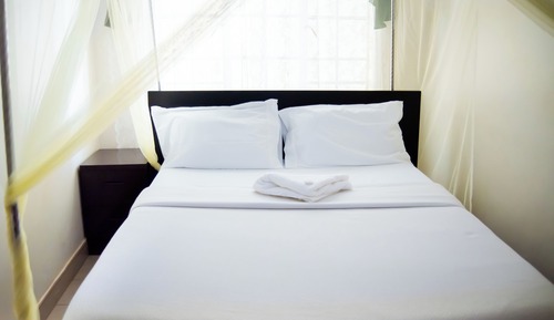 Premium Single Room, 1 Queen Bed, Garden View