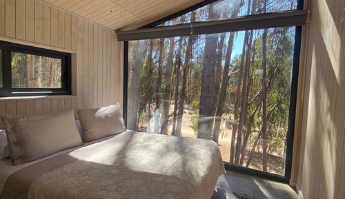 Loft doble vista bosque