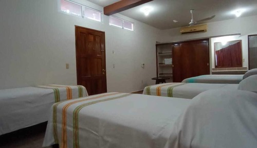 Elite Room
