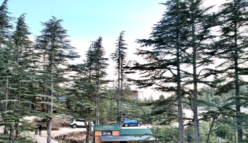Standard Bungalow