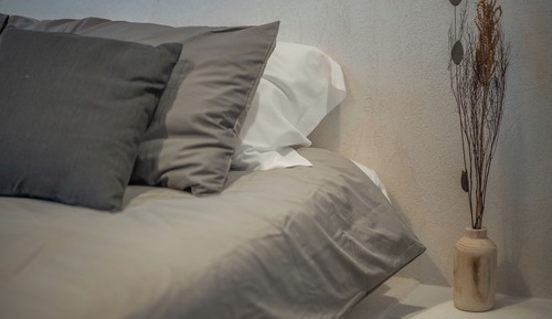 Sterlizia standard vista giardino 01