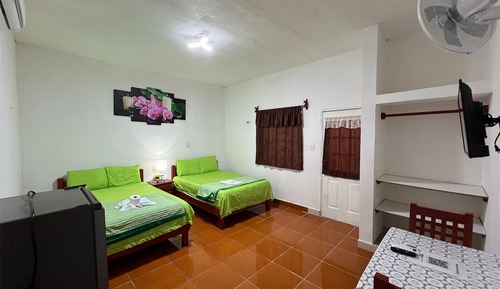 Basic Double or Twin Room