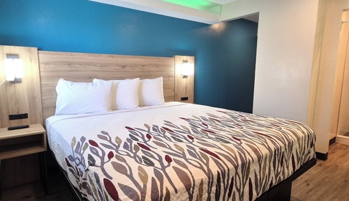 King Bed with Kitchenette