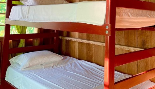 Basic Shared Dormitory