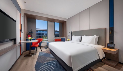 Standard Room, 1 King Bed, City View