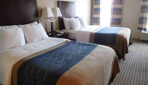 Standard Room, 2 Double Beds, Non Smoking, Refrigerator & Microwave