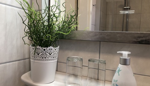 Apartment, Private Bathroom, Courtyard View (Gartenblick Appartement )
