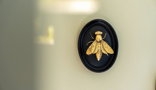 Comfort Room (La King Forest)