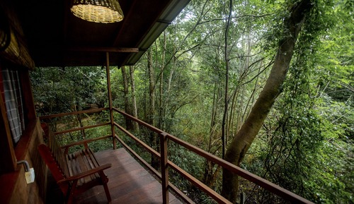 Deluxe Tree House