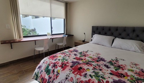 Executive Studio, 1 Queen Bed