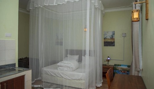 Basic Suite