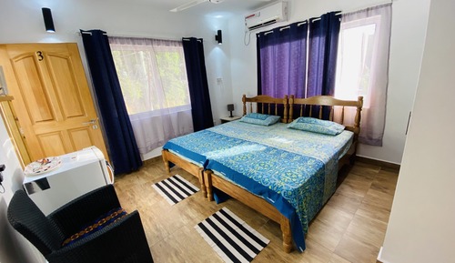 Deluxe Double or Twin Room