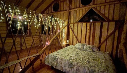 Family Cabin
