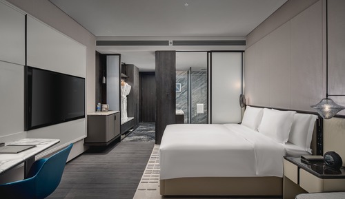 Standard Room, 1 King Bed, Mountain View