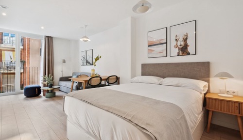 Studio Apartment with sofa bed + balcony