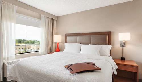 Suite, 1 King Bed, Mountain View