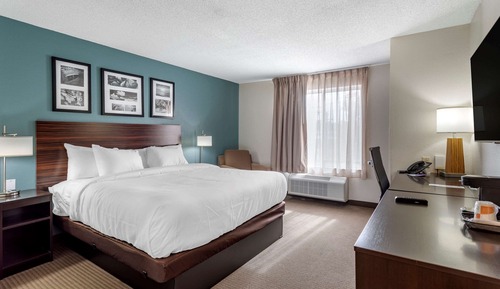 Room, 1 King Bed, Non Smoking (Efficiency, Pet Friendly)