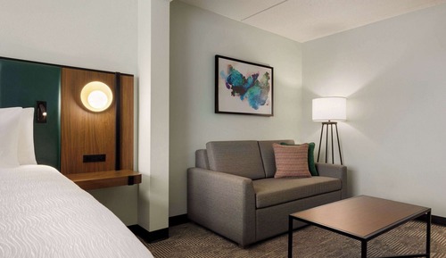 Room, 1 King Bed, Non Smoking (No Pets)