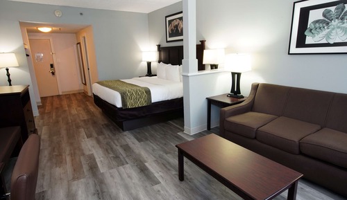 Suite, 1 King Bed, Non Smoking, Refrigerator & Microwave (Larger Room;with Sofabed)