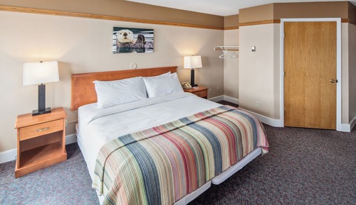 Standard Room, 1 King Bed, Accessible