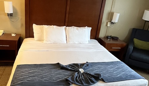 Standard Room, 1 King Bed, Non Smoking