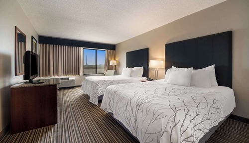 Standard Room, Multiple Beds, Non Smoking, Kitchenette (with Sofabed)