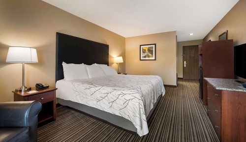 Standard Room, 1 King Bed, Non Smoking, Refrigerator & Microwave