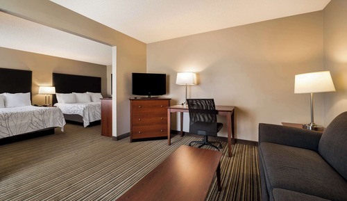 Standard Room, Multiple Beds, Non Smoking, Refrigerator & Microwave (with Sofabed;Oversized Room)