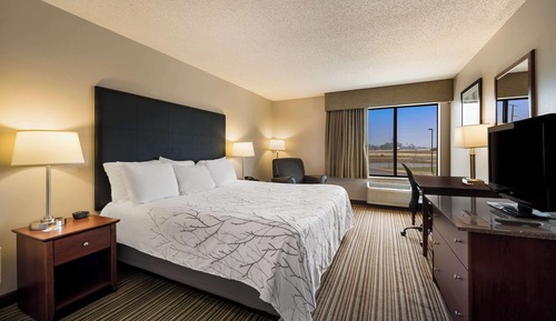 Standard Room, 1 King Bed, Accessible, Non Smoking