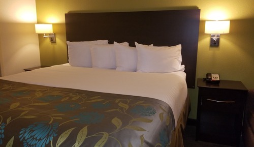 Deluxe Suite, 1 King Bed, Non Smoking
