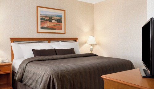 Room, 1 King Bed, Non Smoking